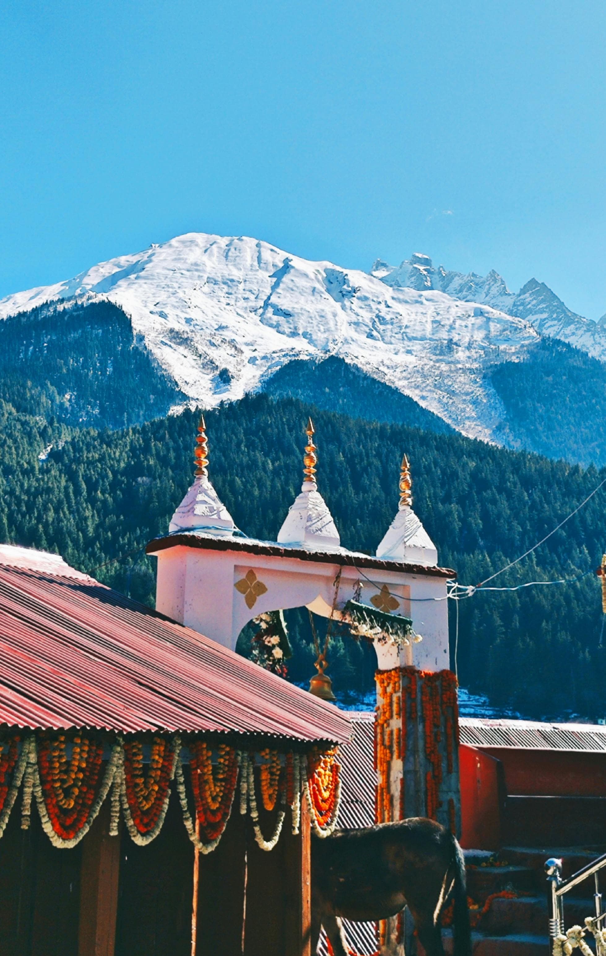 Har Ki Dun Trek image 2